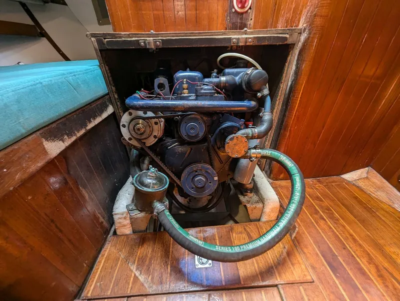 Slide: The Image of Tayana 37 1980 - 4456094