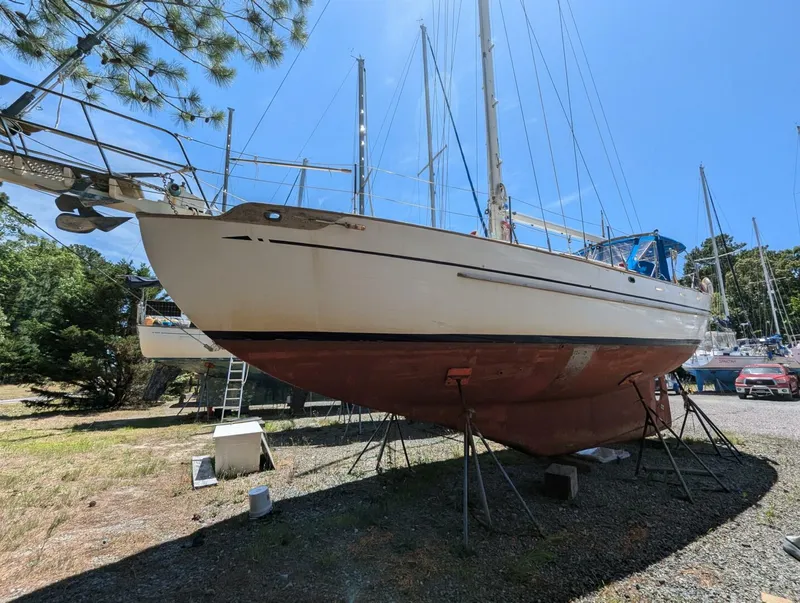 Slide: The Image of Tayana 37 1980 - 4456056