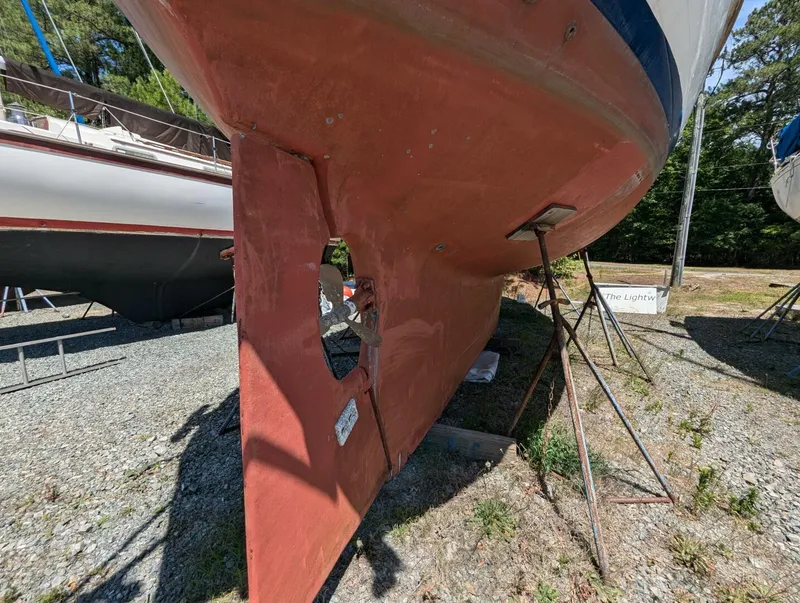 Slide: The Image of Tayana 37 1980 - 4456057