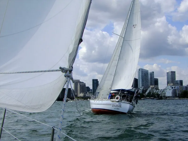 Slide: The Image of Tayana 37 1980 - 4456058