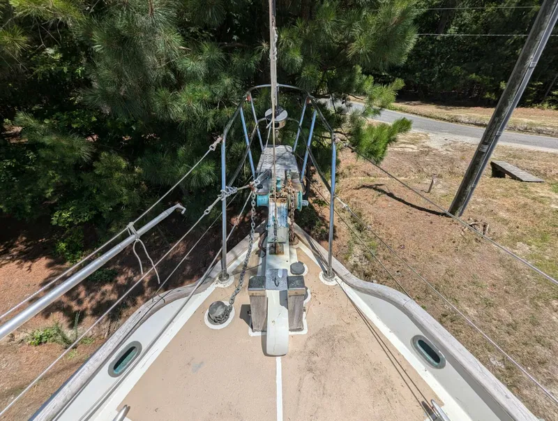 Slide: The Image of Tayana 37 1980 - 4456059