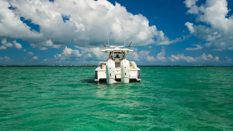 Slide: The Image of Profile 2022 38 LXF Scout - 4457229