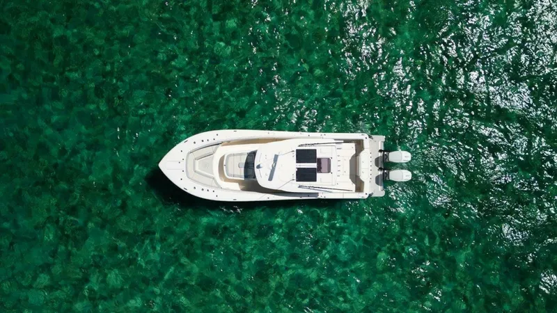 Slide: The Image of Profile 2022 38 LXF Scout - 4457234