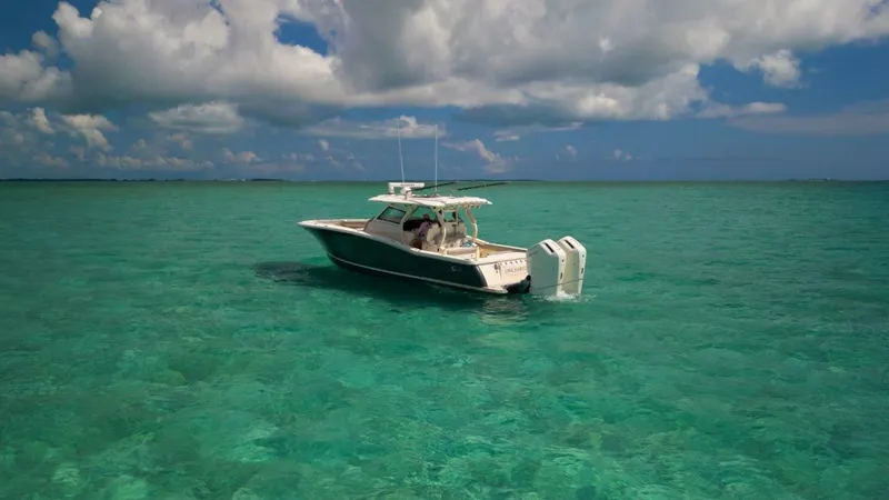 Slide: The Image of Profile 2022 38 LXF Scout - 4457236