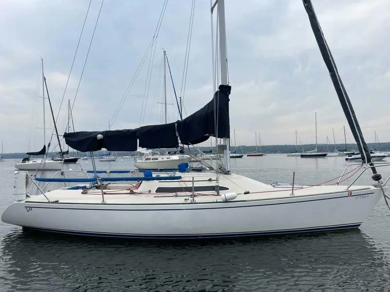 Slide: The Image of Tartan 27 1987 - 4462689