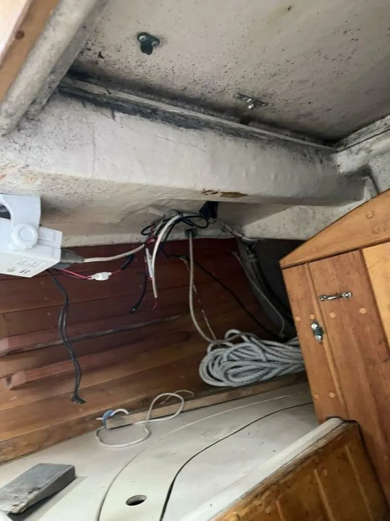 Slide: The Image of Edey & Duff 23 1981 - 4465512