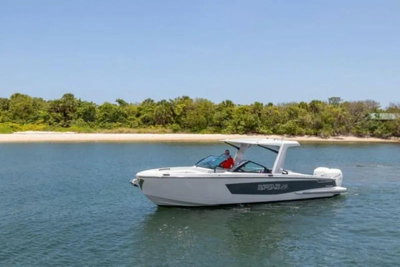 Slide: The Image of Aviara AV32 OB 2020 - 4467406