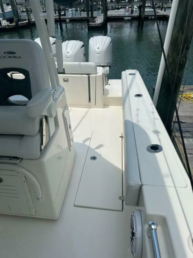 Slide: The Image of Cobia 350 CC 2023 - 4532964