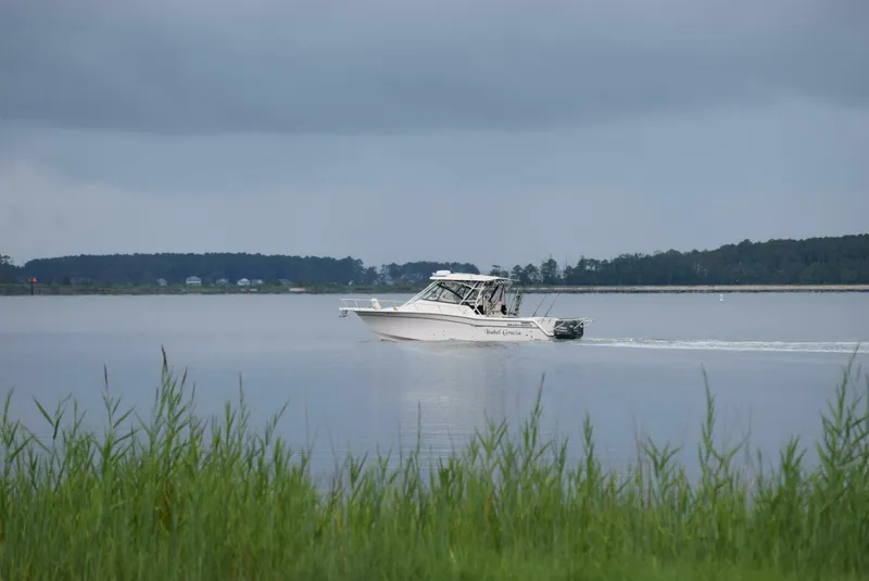 Slide: The Image of Grady-White Express 330 2016 - 4512840