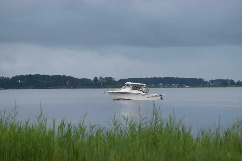 Slide: The Image of Grady-White Express 330 2016 - 4512839