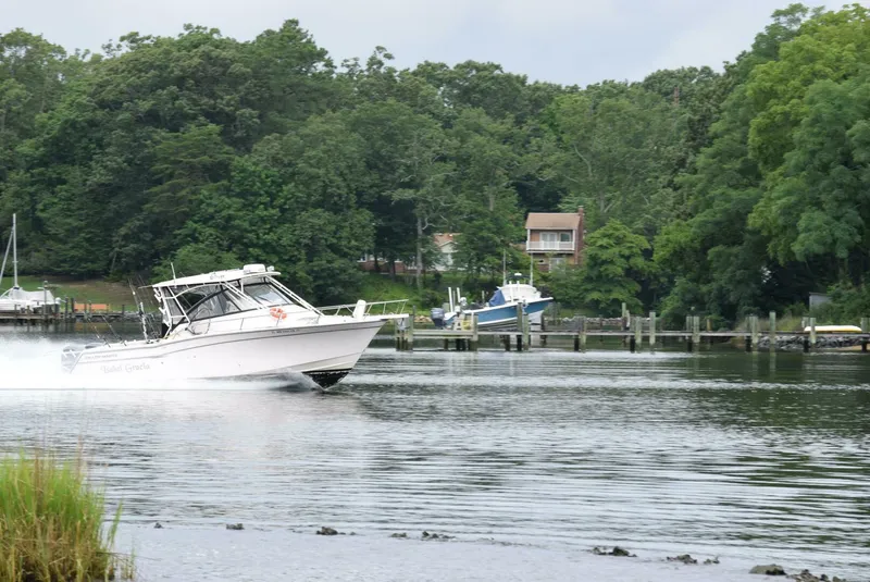 Slide: The Image of Grady-White Express 330 2016 - 4512837