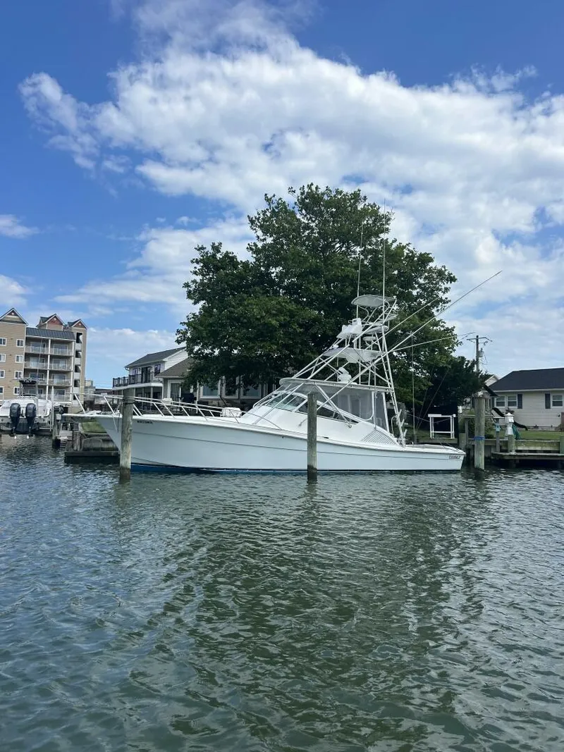 The Image of Topaz 40 2006 - 4485937