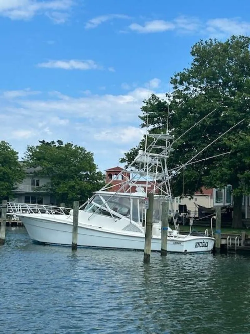 Slide: The Image of Topaz 40 2006 - 4485936