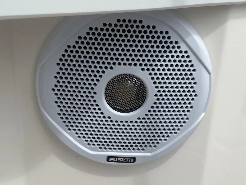 Slide: The Image of Speaker (s) - 4493601