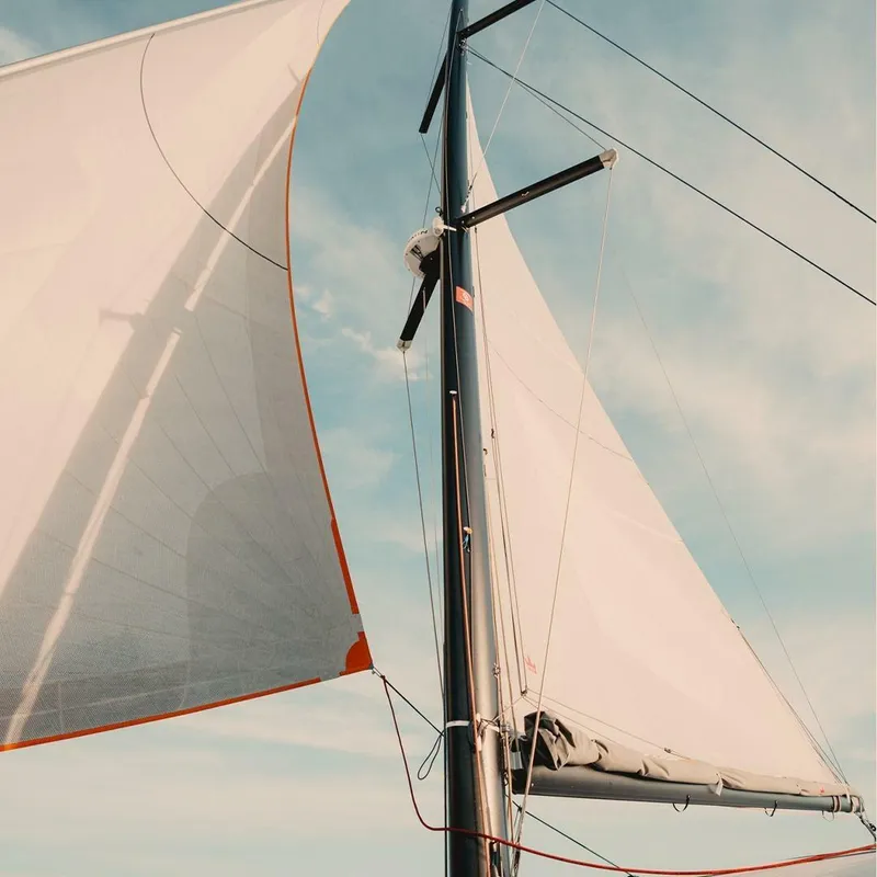 Slide: The Image of Excess 13 2026 - 5486798