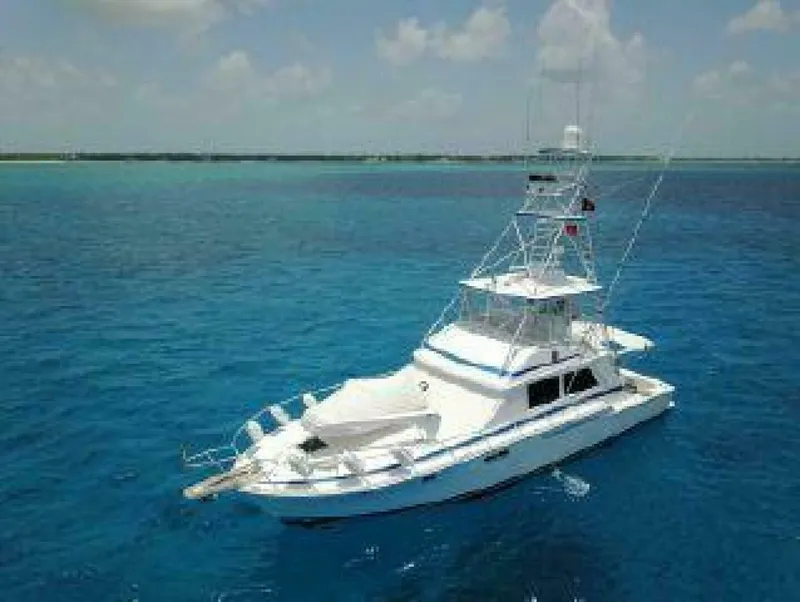 Slide: The Image of Bertram Convertible 1981 - 4515695