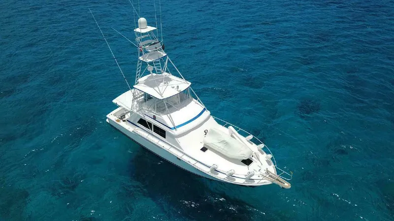 Slide: The Image of Bertram Convertible 1981 - 4515694