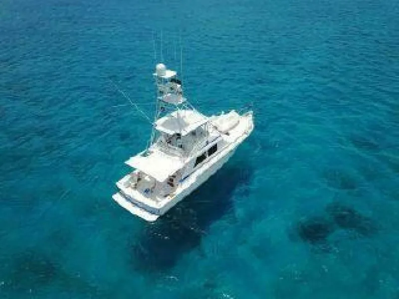 Slide: The Image of Bertram Convertible 1981 - 4515696