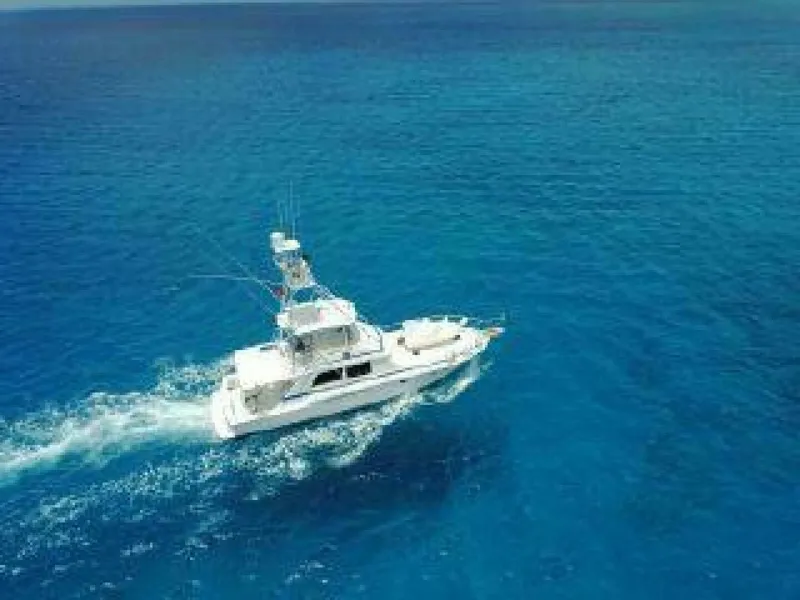 Slide: The Image of Bertram Convertible 1981 - 4515698