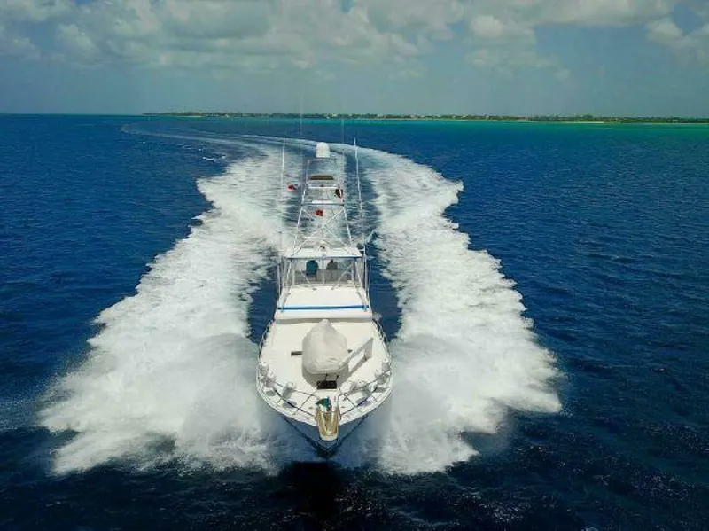 Slide: The Image of Bertram Convertible 1981 - 4515702