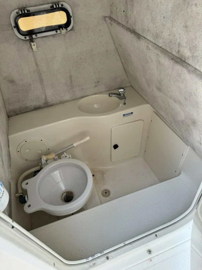 Slide: The Image of Pursuit 2470 2001 - 4574039