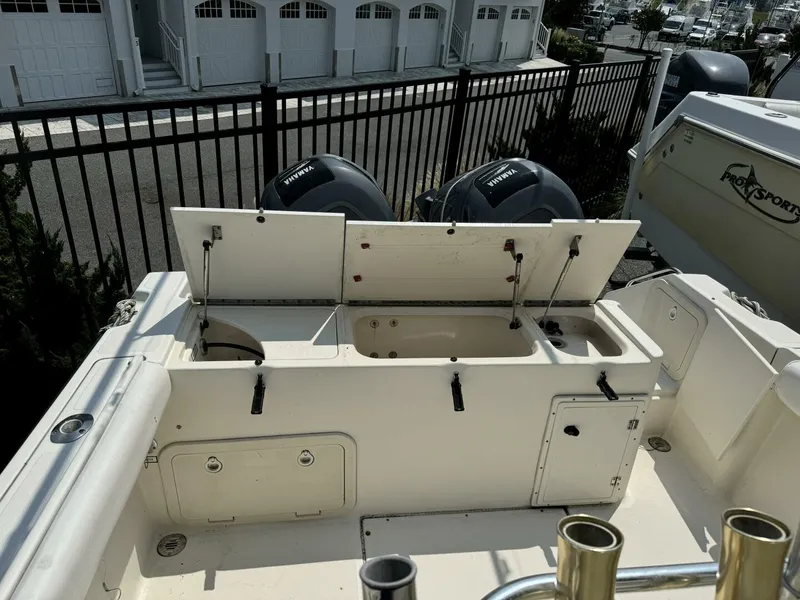 Slide: The Image of Pursuit 2470 2001 - 4574034