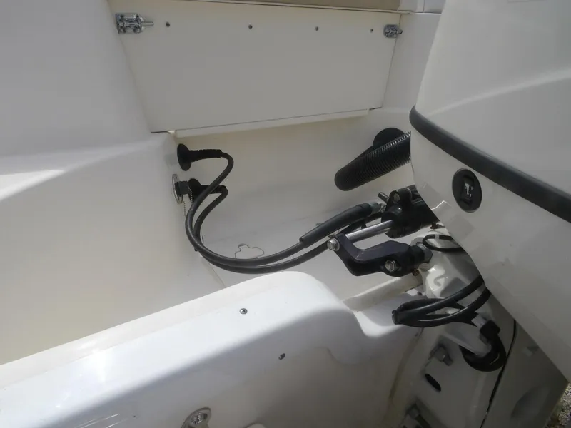 Slide: The Image of 100_0133   Copy - 4556435