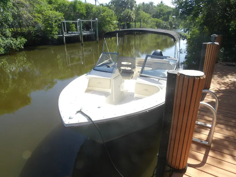 The Image of 100_0066   Copy - 4541936