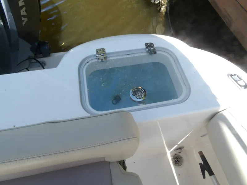 Slide: The Image of 100_0037   Copy (3) - 4541899