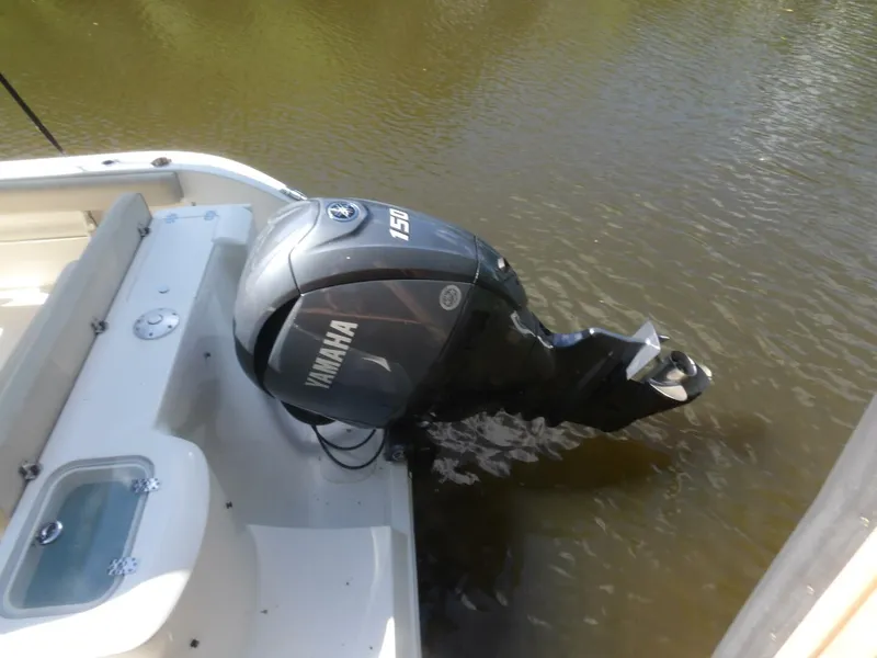 Slide: The Image of 100_0013   Copy (3) - 4541874