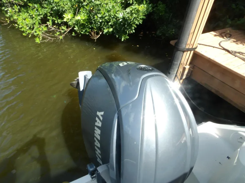 Slide: The Image of 100_0054   Copy - 4541920