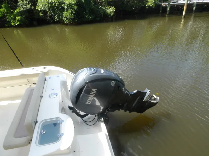 Slide: The Image of 100_0060   Copy - 4541926