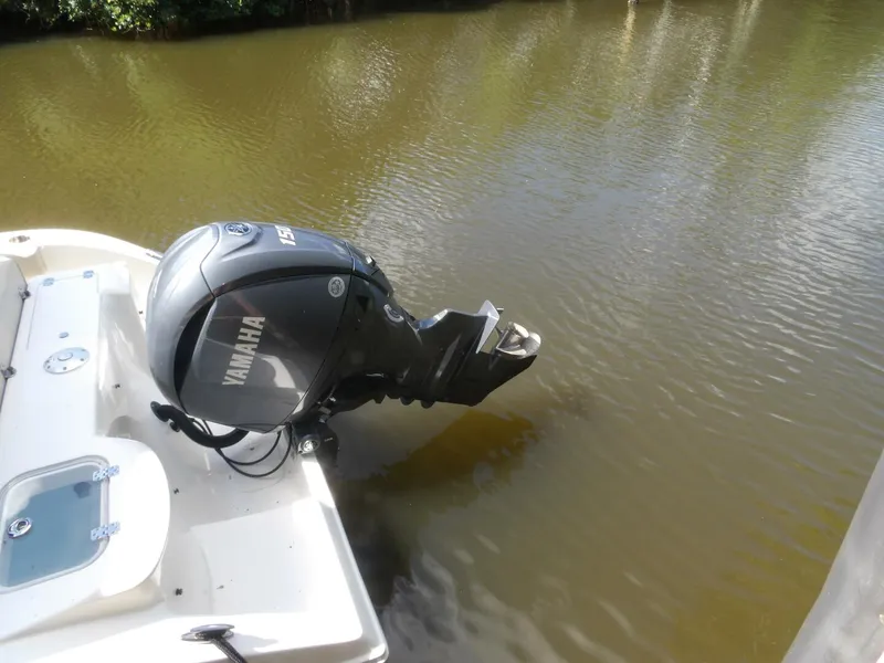 Slide: The Image of 100_0061   Copy - 4541927