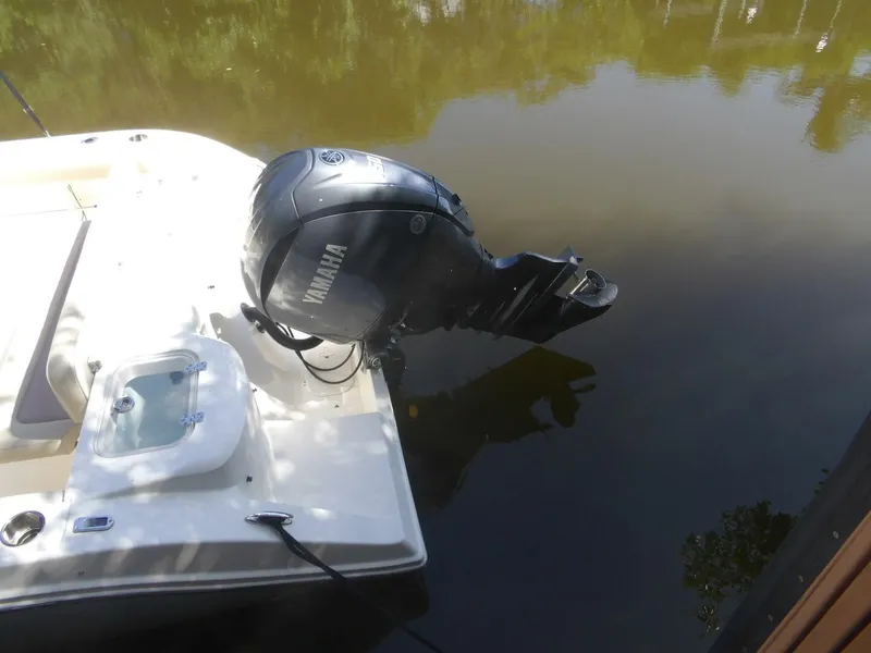 Slide: The Image of 100_0064   Copy (2) - 4541931