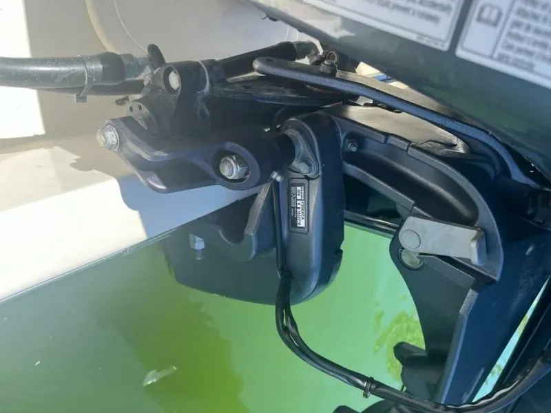 Slide: The Image of IMG_5704 - 4630763