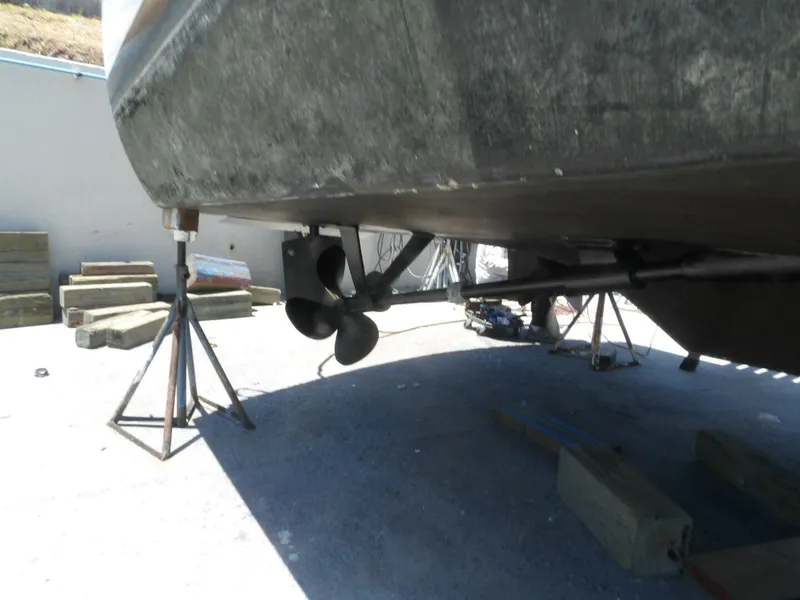 Slide: The Image of 100_0004   Copy (5) - 4585556