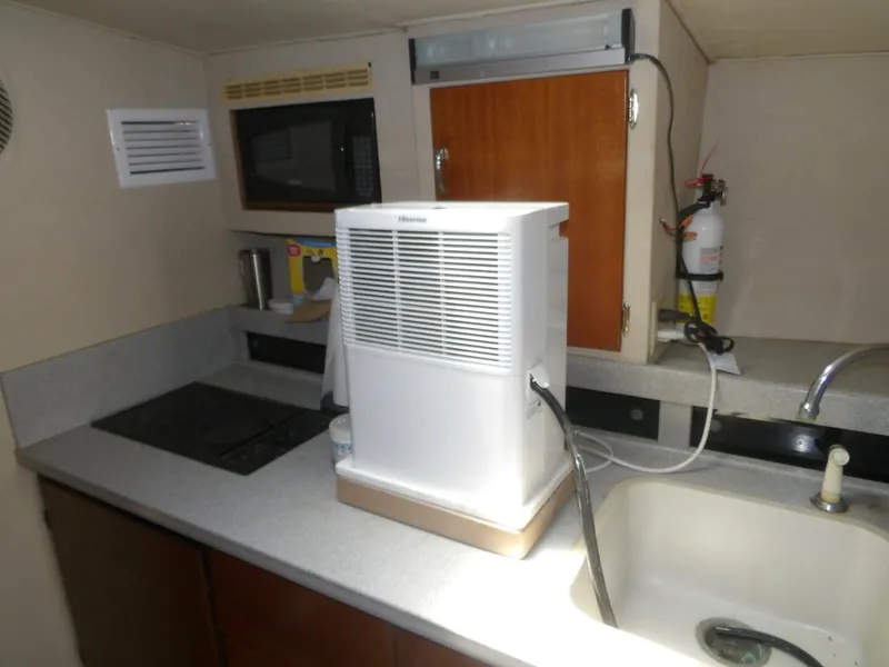 Slide: The Image of 100_0368 - 4585621