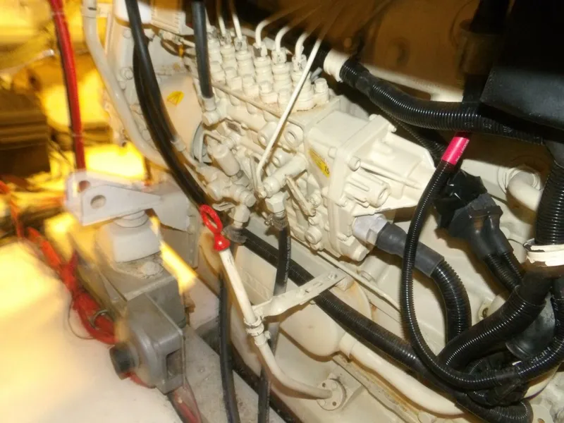 Slide: The Image of 100_0398 - 4585668