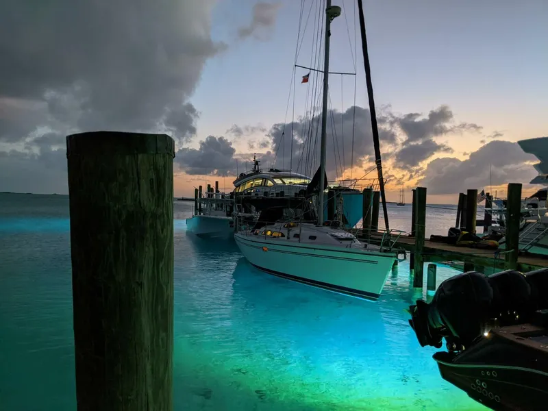 The Image of PXL_20210313_233723862.NIGHT (1) - 4630476