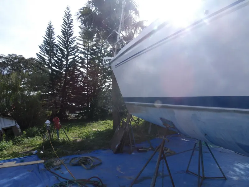 Slide: The Image of 100_0115 - 4630397