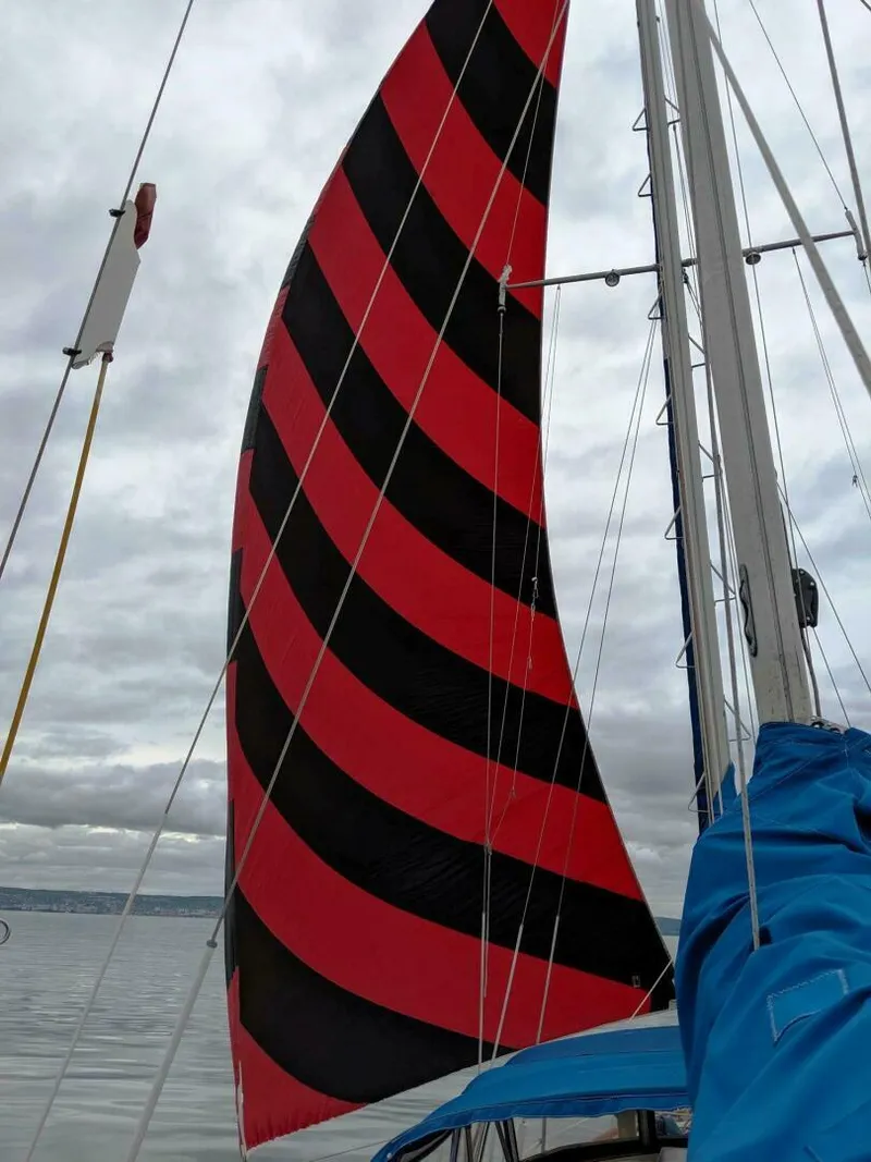 Slide: The Image of Cheoy Lee 40 1976 - 4526455