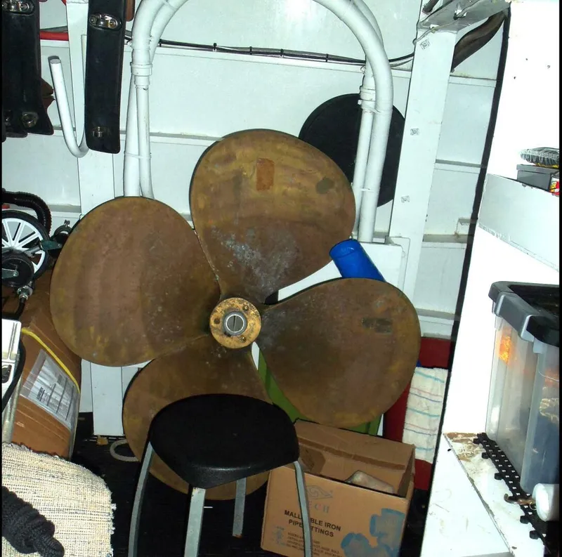 Slide: The Image of Lazarette   - 4531336