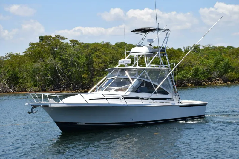 Slide: The Image of Profile 4 - 5398726