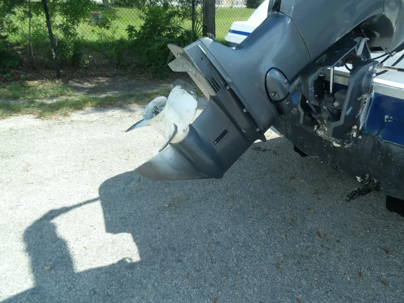 Slide: The Image of 100_0083   Copy - 4549504