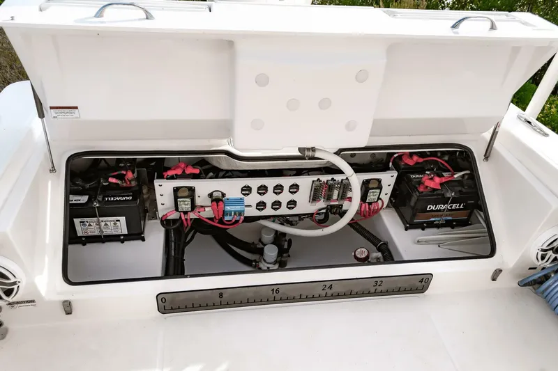 Slide: The Image of Everglades 253CC 2022 - 4554401