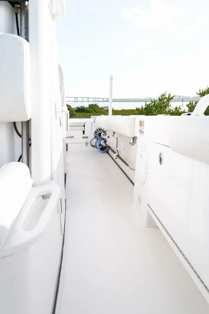 Slide: The Image of Everglades 253CC 2022 - 4554409