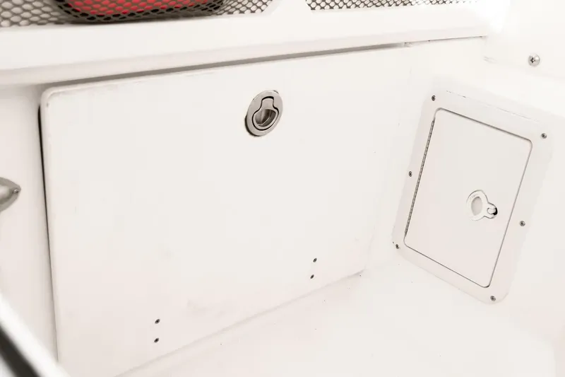 Slide: The Image of Everglades 253CC 2022 - 4554411