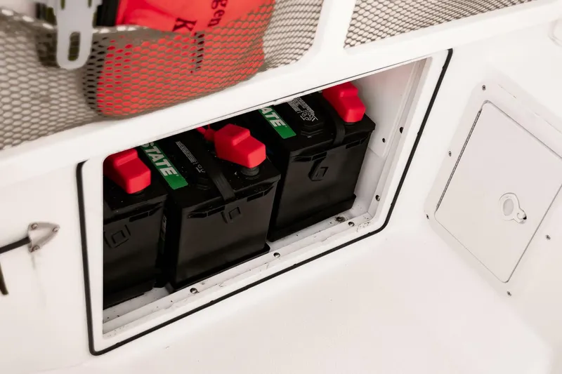 Slide: The Image of Everglades 253CC 2022 - 4554410