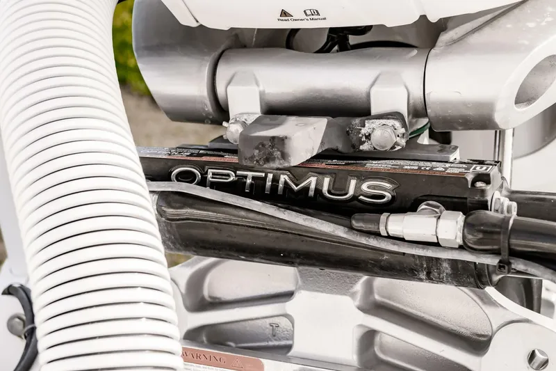 Slide: The Image of Everglades 253CC 2022 - 4554414