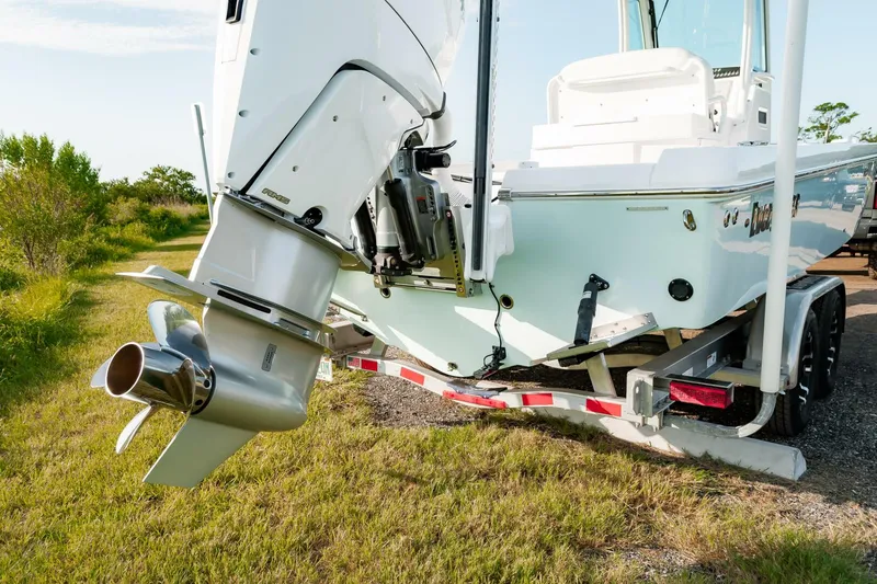 Slide: The Image of Everglades 253CC 2022 - 4554417